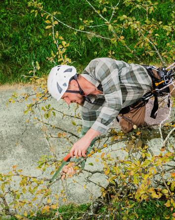 Gartenunterhalt &amp; Baumpflege