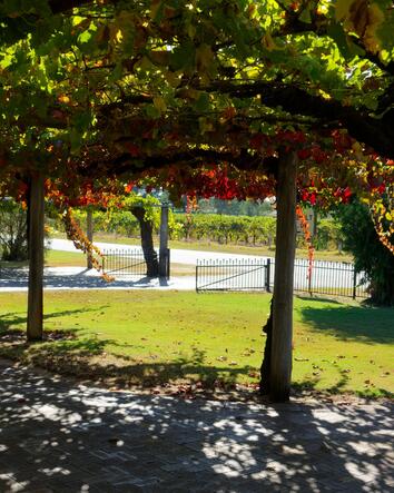 Gestaltung &amp; Landshaping