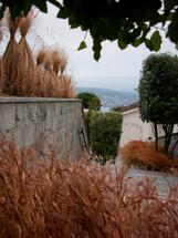 Ausblick durch dürres Gras